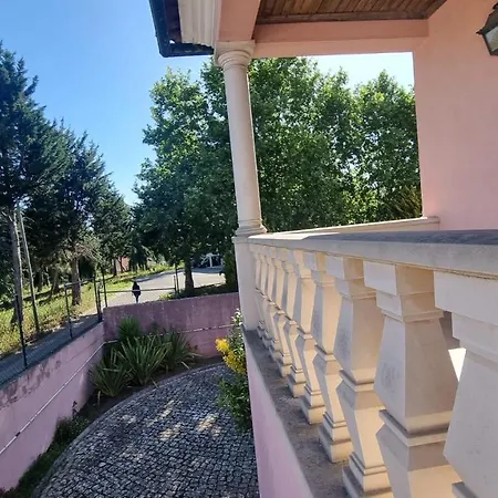 Casa Da Palmeira *
