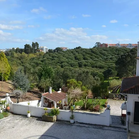 Casa Da Palmeira Guest house Leiria