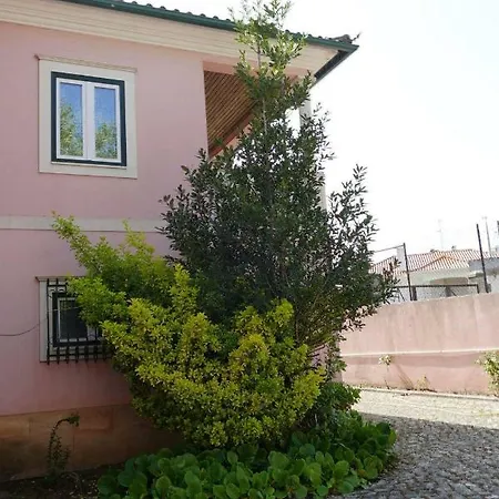 Casa de hóspedes Casa Da Palmeira Leiria