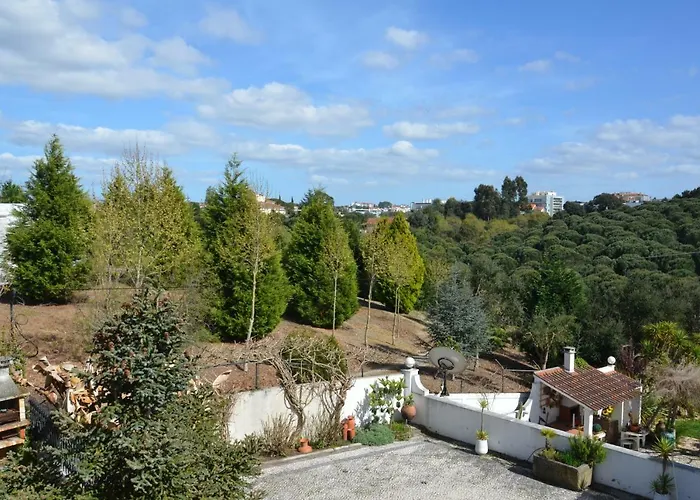 Casa de hóspedes Casa Da Palmeira