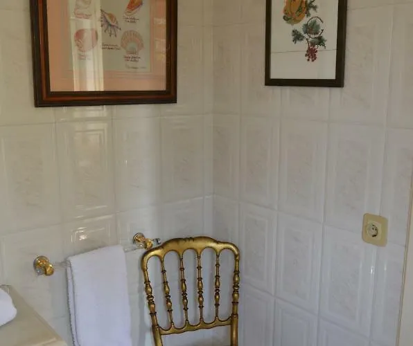 Casa Da Palmeira Casa de hóspedes