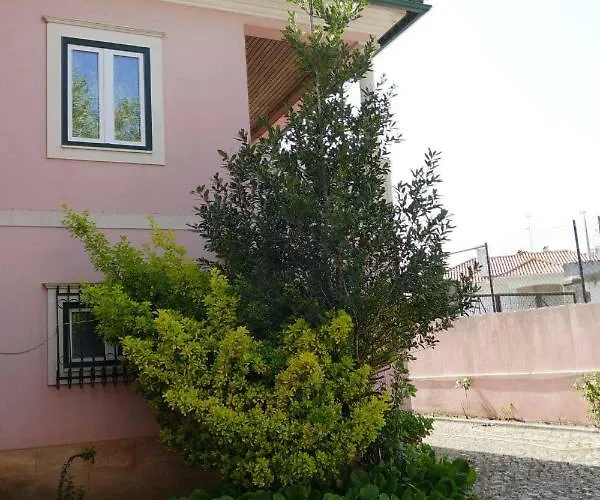 Casa de hóspedes Casa Da Palmeira Leiria